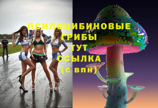 марки lsd Армянск