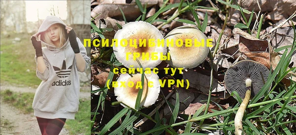 синтетический гашиш Арсеньев